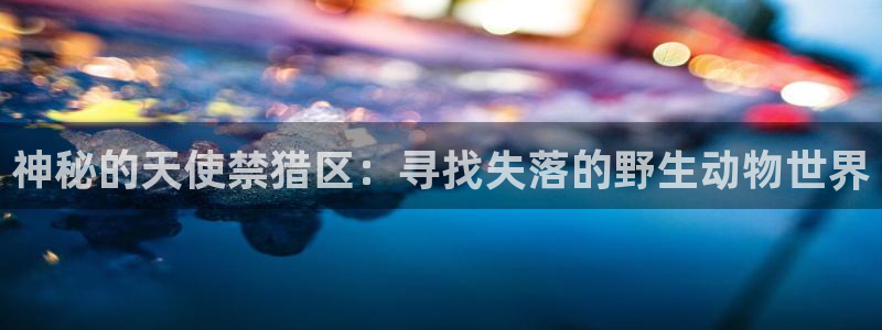 歪歪漫画韩国漫画：神秘的天使禁猎区：寻找失落的野生动物世界